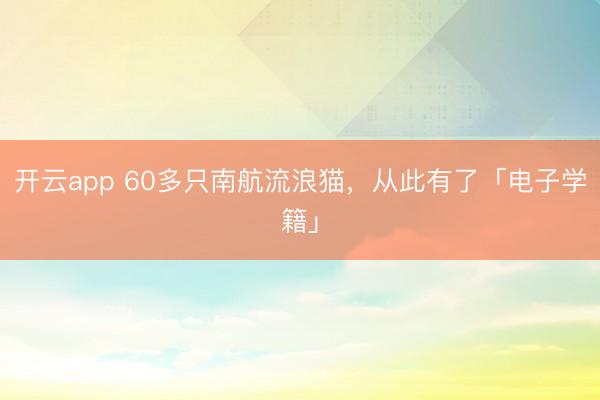 開(kāi)云app 60多只南航流浪貓，從此有了「電子學(xué)籍」